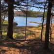 Cross-River Preserve, Boothbay Region Land Trust