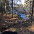 Cross-River Preserve, Boothbay Region Land Trust
