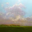 Barbara Applegate