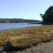 #bird-column, #birds, #JeffandAllisonWells, #BoothbayRegister, #WiscassetNewspaper, #landformaine’sfuture, #LMF, Maine