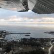#bird-column, #Boothbay-Register, #jeff-and-allison-wells, #birds, #Maine, #Matinicus