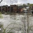 #bird-column, #jeff and allison wells, #boothbay register, #birds, #maine, #flood, #bald eagley