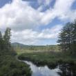 #bird-column, #katahdin-woods-and-waters-national-monument, #jeff-and-allison-wells, #birds, #boothbyay-register, #maine