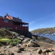#bird-column, #birds, #jeff and allison wells, #maine, #monhegan island, #boothbay register, #red house