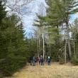 #bird-column, #boothbay register, #perham stream birding trail, #natural resources council of maine, #jeff and allison wells, #birds, #maine, #high peaks alliance