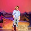 Lonesome Cowpoke