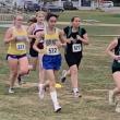 A group of cross-country runners