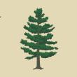 The alternative Maine state flag on the ballot for 2024. 