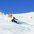 Alpine Ski racer