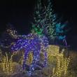 Gardens Aglow. STEVE EDWARDS/Boothbay Register