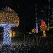 Gardens Aglow. STEVE EDWARDS/Boothbay Register