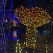Gardens Aglow. STEVE EDWARDS/Boothbay Register