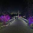 Gardens Aglow. STEVE EDWARDS/Boothbay Register