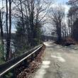 Adams Pond Road
