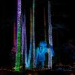 Gardens Aglow. Mike Leonard photo