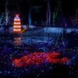 Gardens Aglow. Mike Leonard photo
