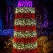 Gardens Aglow. Mike Leonard photo
