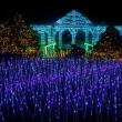 Gardens Aglow. Mike Leonard photo