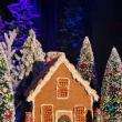 Gingerbread class is Nov. 20. 3:45 p.m. Registration required. Courtesy of the Opera House 