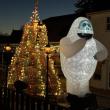 Bumble at Brady's!