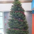 Tree of Giving