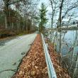 Adams Pond Road. 