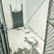 An interior kennel. Midcoast Humane photo