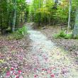 The Boothbay region school trail project made significant strides this year. Courtesy Larry Brown
