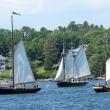 Boats gather in the outer harbor during Windjammer Days. STEVE EDWARDS/Boothbay Register