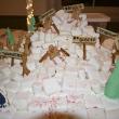 Best Youth Entry: "Sugarloaf" by Polly Nadeau-Miller.  LISA KRISTOFF/Boothbay Register