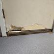 Door chewed by marsh rats. Midcoast Humane photo