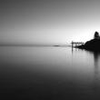 Photo by Robert Mitchell