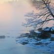STEVE EDWARDS/Boothbay Register