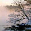 STEVE EDWARDS/Boothbay Register
