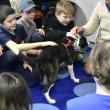 Archie the Puppy from Midcoast Humane Animal Shelter steals the show with BRES 3rd graders. ISABELLE CURTIS/Boothbay Register