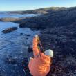 Senior Research Associate Brittney Honisch collects kelp for research supported by the Builders Initiative. Credit: Robin Sleith