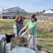 Sixth grade helpers Briar, daughter of Arianna and Brice Johnson, and Lilianna, daughter of Trista and Brian Cassidy, sprinkle hay between layers of compost in one of eight 31-gallon bins, donated by Ames True Value of Wiscasset and an EES teacher.  Students are residents of Alna and Edgecomb. Courtesy photo
