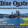 http://mineoyster.net