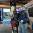 Harry Hall, pictured with his horse Dolly,  celebrates almost 20 months of sobriety after decades of struggling with alcohol addiction. Courtesy of Harry Hall