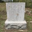 An after picture of the same headstone after cleaning. Sara Fahnley photo