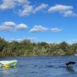 Volunteers during a Plant Paddle workshop. Courtesy of Lake Stewards of Maine 