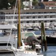 STEVE EDWARDS/Boothbay Register