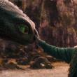The Family Film Deal: "How To Train Your Dragon" on Friday, June 13! Courtesy of the Harbor Theater