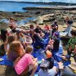 A tidepool lesson on Burnt Island. Courtesy of Elaine Jones