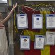The People's Choice voting wall. LISA KRISTOFF/Boothbay Register