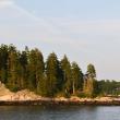 From pristine shorelines to abundant wildlife, the health and vitality of our natural habitats are a major draw for tourists to our region. Courtesy of Kelsey Moon 