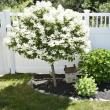 LISA KRISTOFF/Boothbay Register