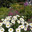 LISA KRISTOFF/Boothbay Register 