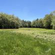 Autumn View open house takes place July 15 from 10am-2pm, offering the public a chance to view and learn more about this exciting new nature preserve. Courtesy of BRLT