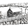 Drawing by Diane Spofford Randlett